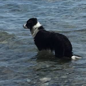 Meet your Posher, Lindsay